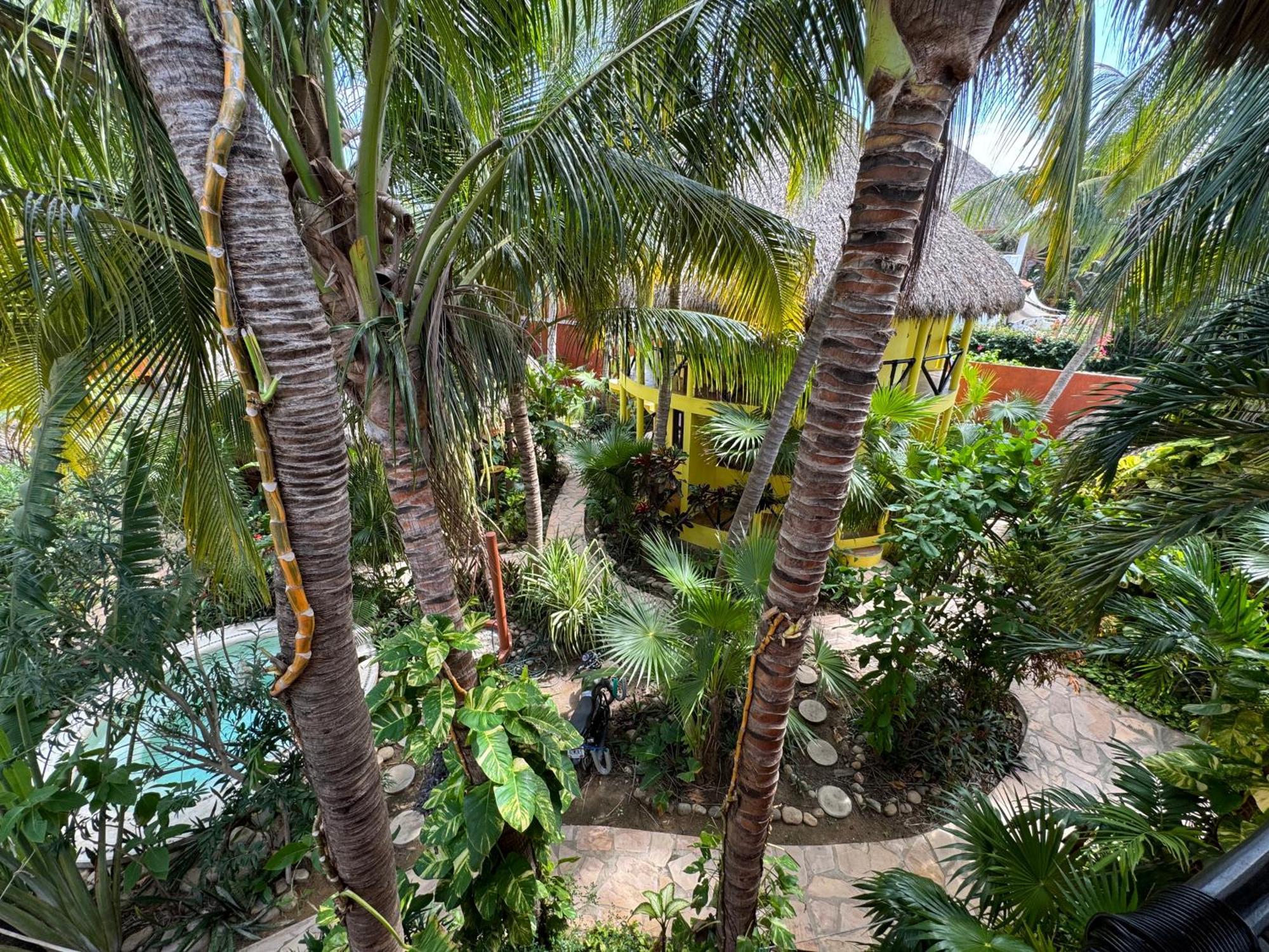 One Love Hostal Puerto Escondido Puerto Escondido  Exteriör bild